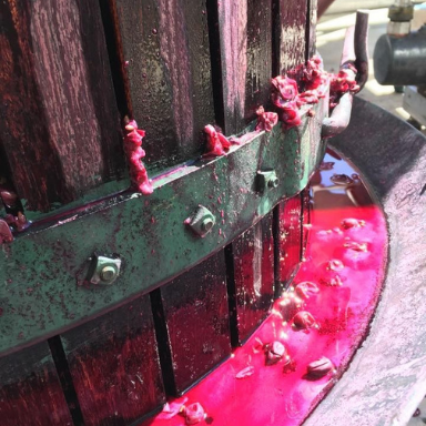 Find Barossa and Clare Wines made by hand, basket press